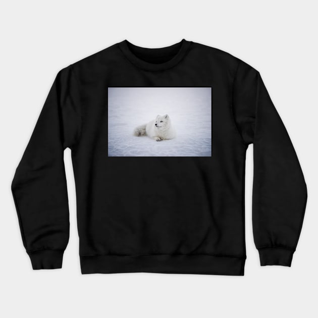 Snow Fox on Glacier Crewneck Sweatshirt by kawaii_shop